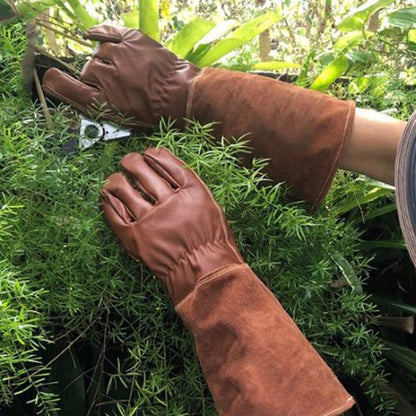 gants-de-jardinage-brun