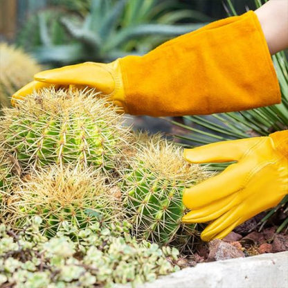 gants-de-jardinage-jaune