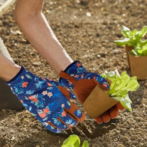 gants-de-jardinage-plantation