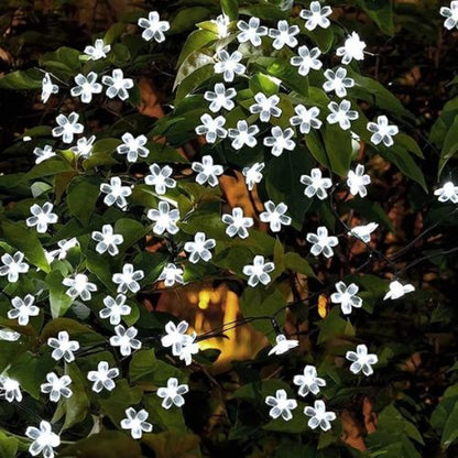 guirlande-exterieur-buisson