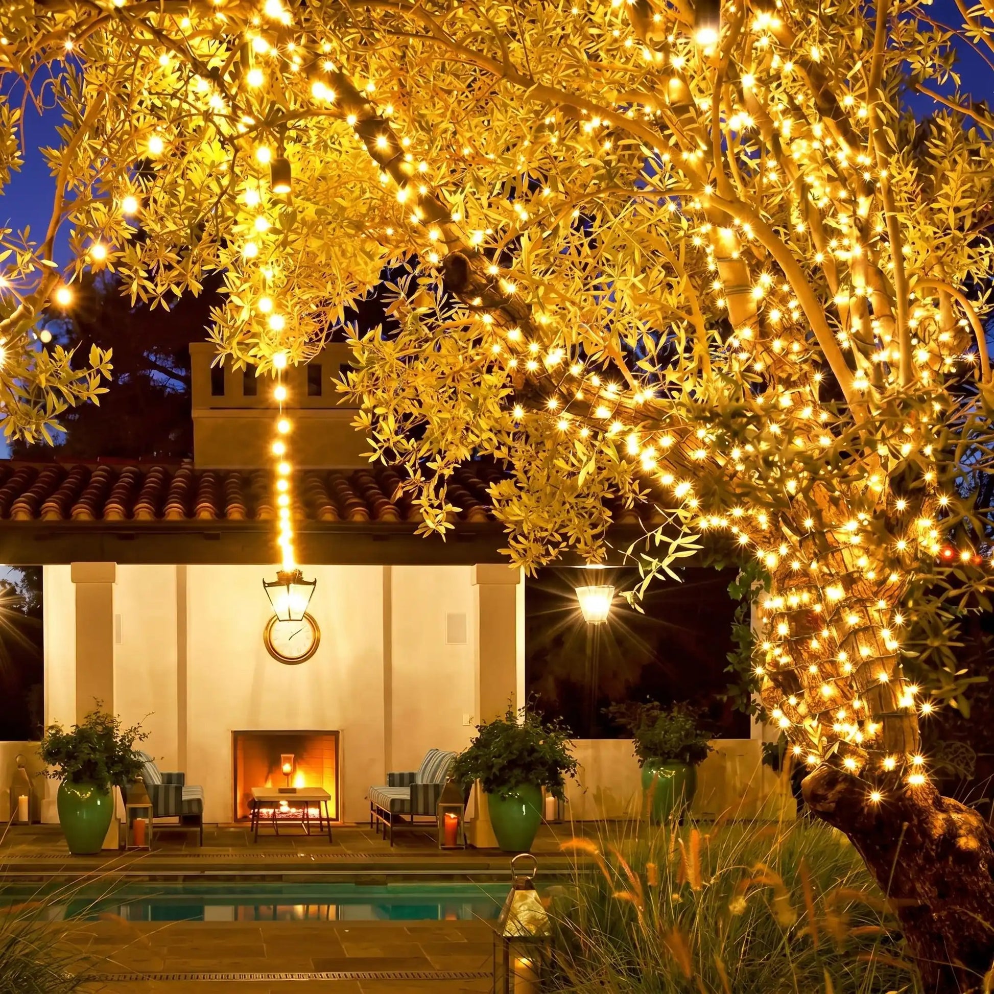guirlande-lumineuse-solaire-jardin