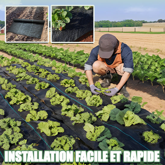 Toile de Paillage - Anti mauvaise herbe