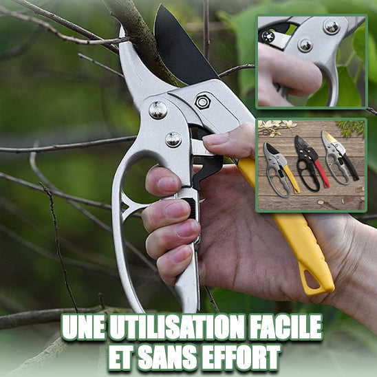 Secateur | GardenProCut