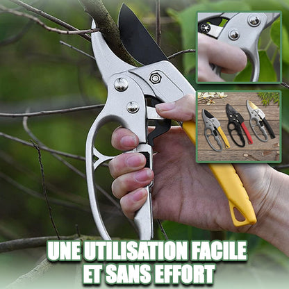 Secateur | GardenProCut