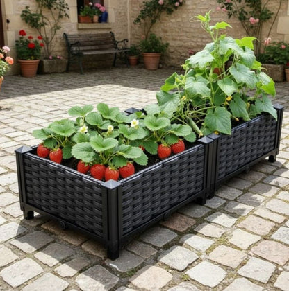 jardinière-surélevée-récolte