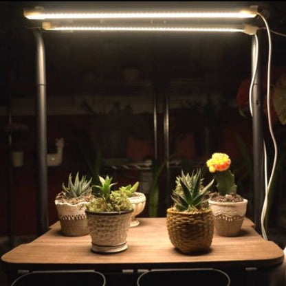 Lampe Horticole - GrowLight - Passion Horticulture