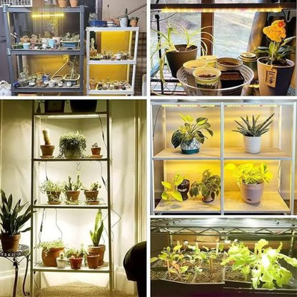 Lampe Horticole - GrowLight - Passion Horticulture