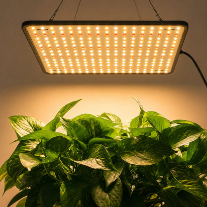 lampe-pour-les-plantes-intérieur