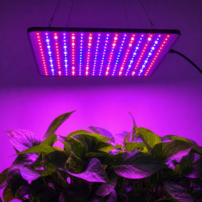 lampe-pour-les-plantes-mauve