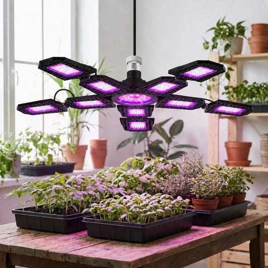 lampe-pour-plante-800W-Violette