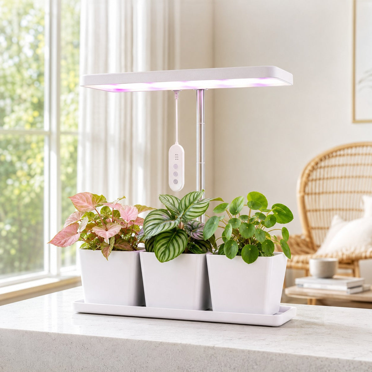 led-horticole-plantes