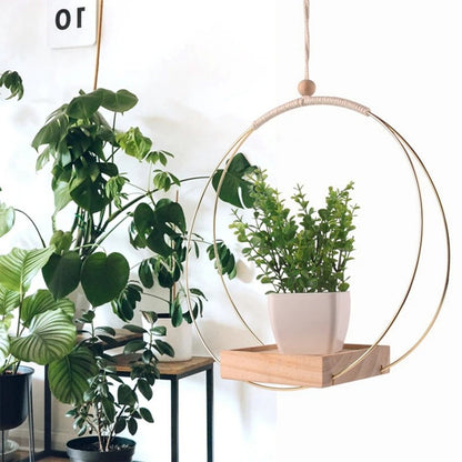Suspension Plante | Floating Flora™