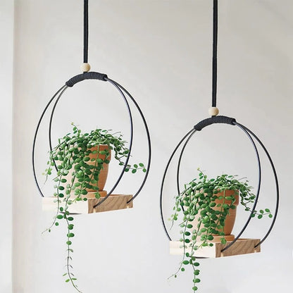 Suspension Plante | Floating Flora™
