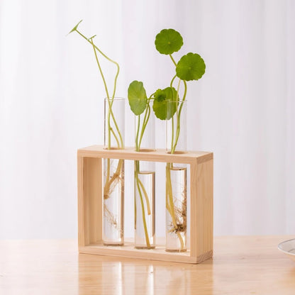 plante hydroponique | Roots Station™