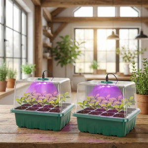 mini-serre-à-semis-deux