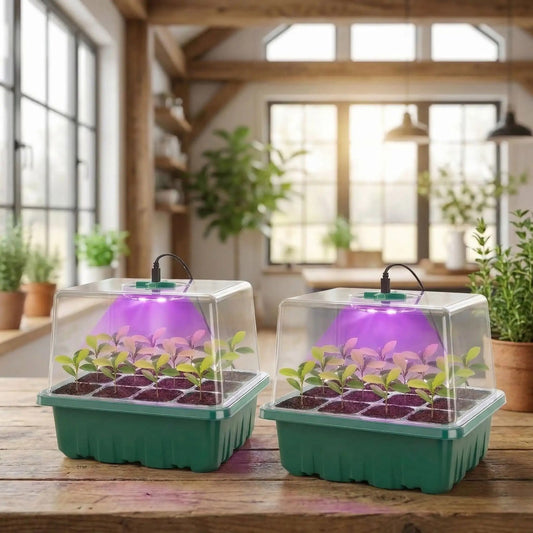 mini-serre-à-semis-deux