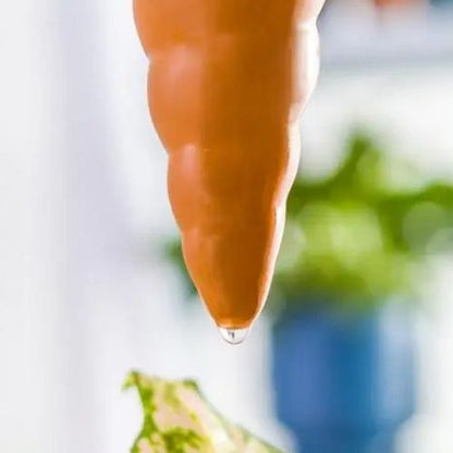 ollas-goutte-a-gouttes