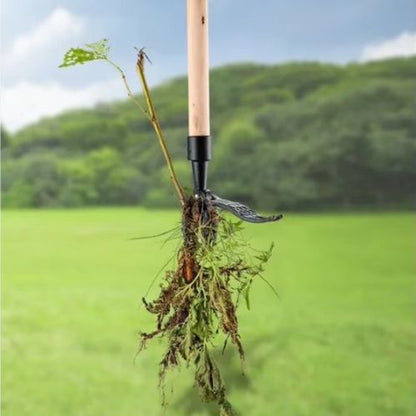 outil-pour-désherber-herbes