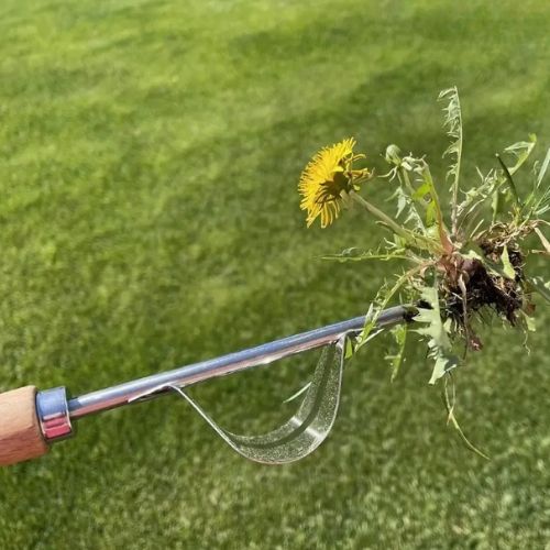 outil-pour-désherber-robuste