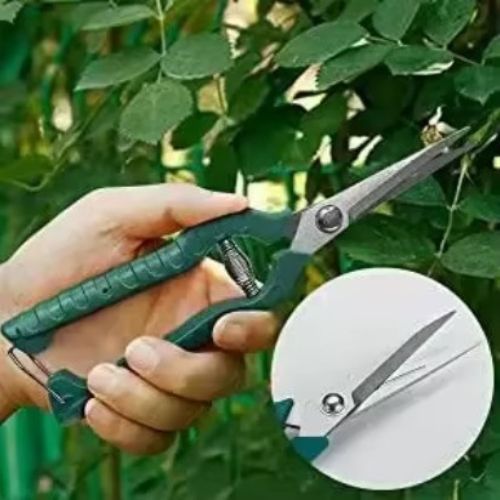 outils-de-jardinage-secateur