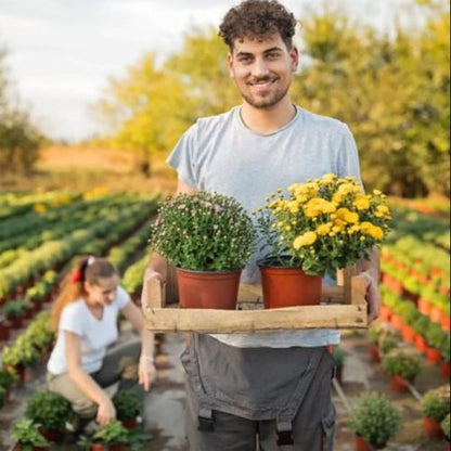 pot-de-fleurs-jardin