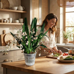 pot-de-fleurs-transparent-intérieur