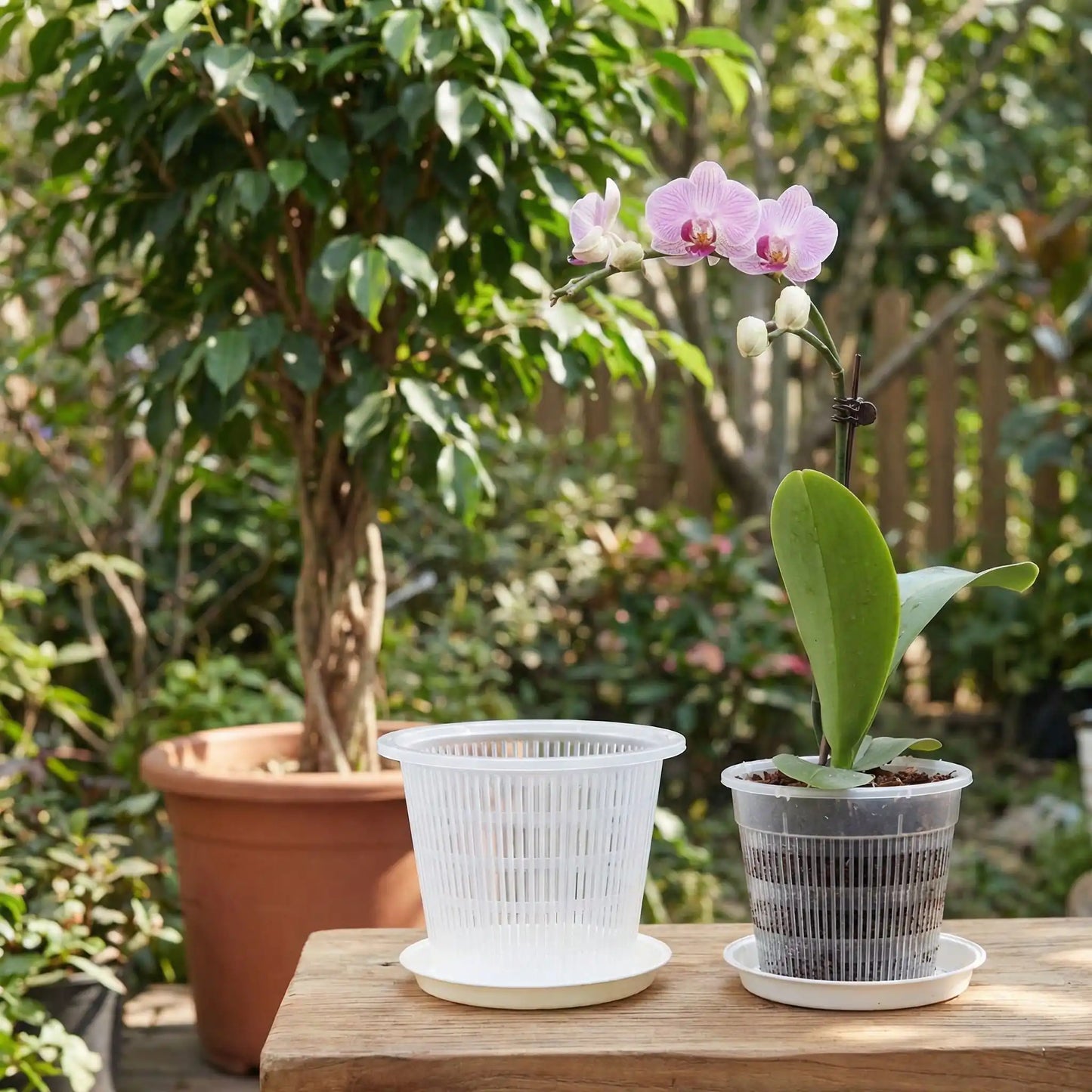 pot-de-fleurs-transparent-table