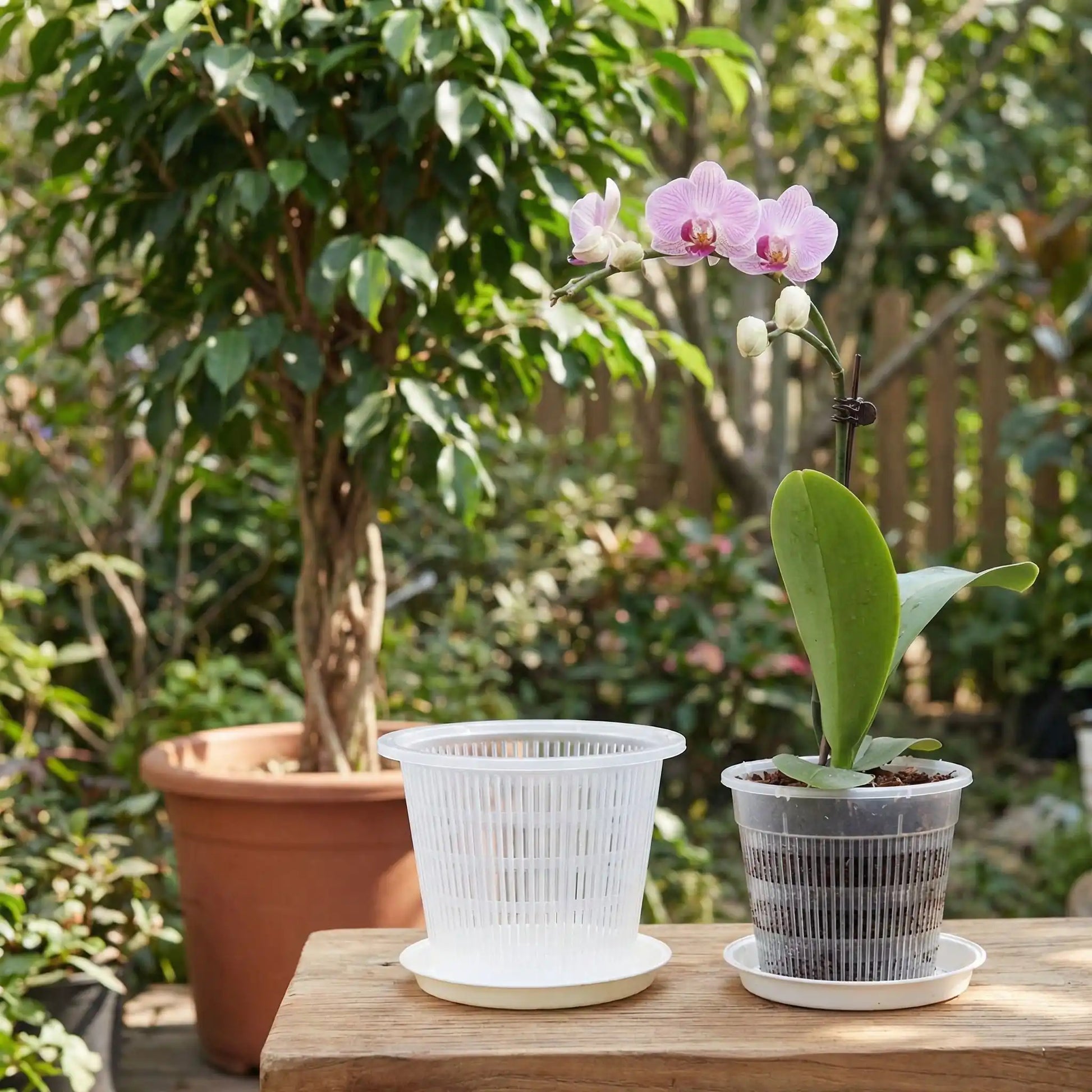 pot-de-fleurs-transparent-table