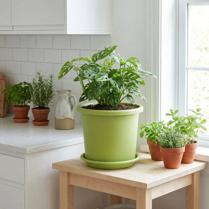 pot-de-fleurs-vert-petit