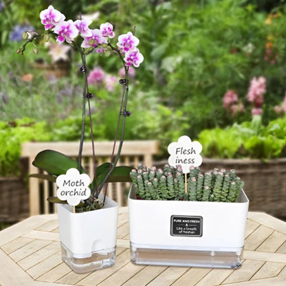 Pot pour plante intérieur - SelfWatering Planter - Passion Horticulture