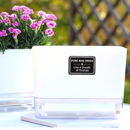 Pot pour plante intérieur - SelfWatering Planter - Passion Horticulture