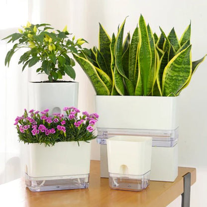 Pot pour plante intérieur - SelfWatering Planter - Passion Horticulture