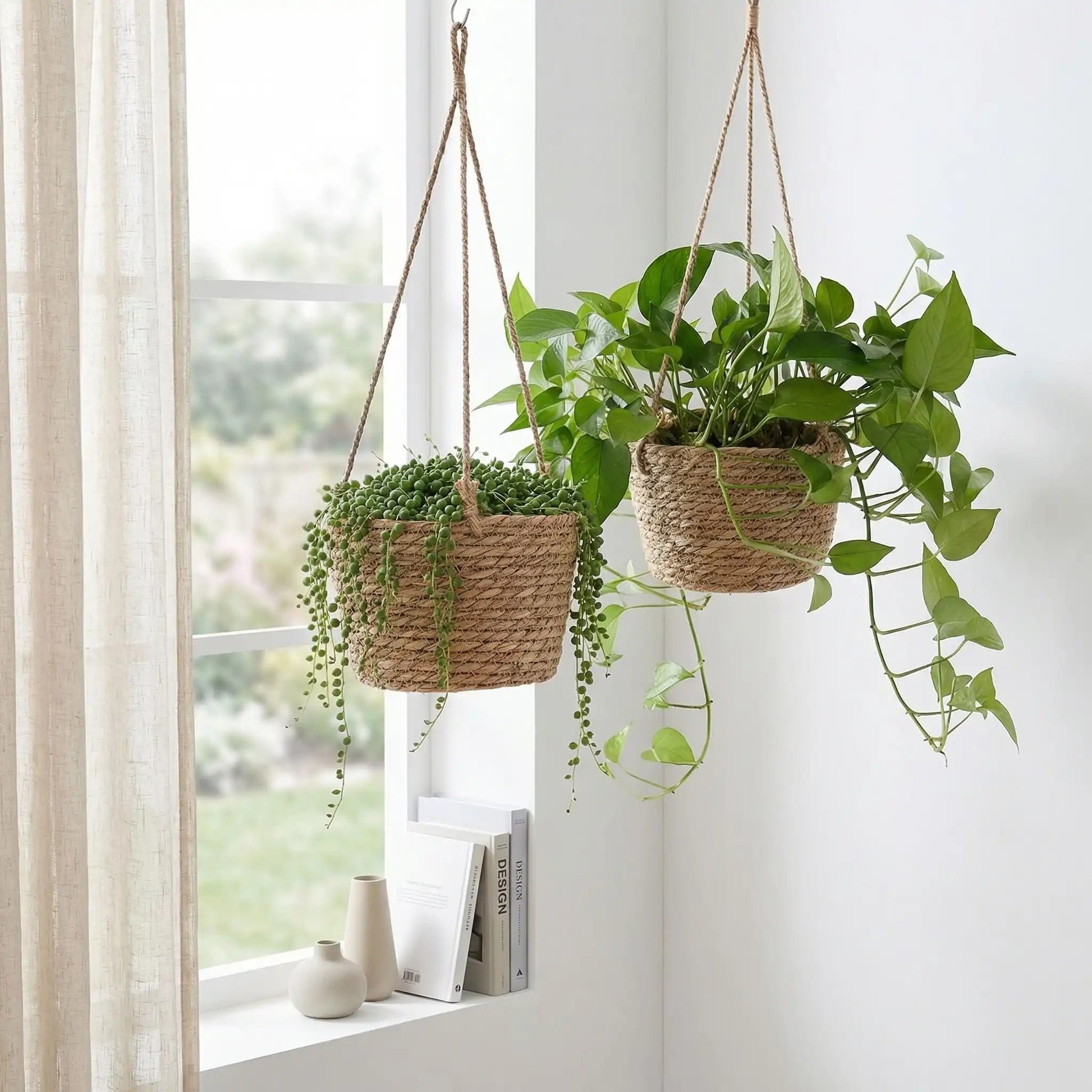 pot-suspendu-2-pots