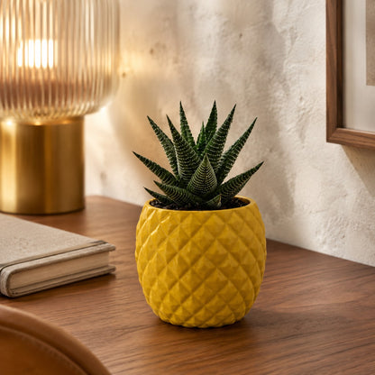 pots-pour-plantes-ananas