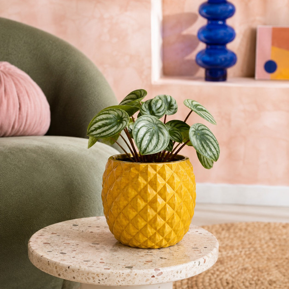 pots-pour-plantes-coloré
