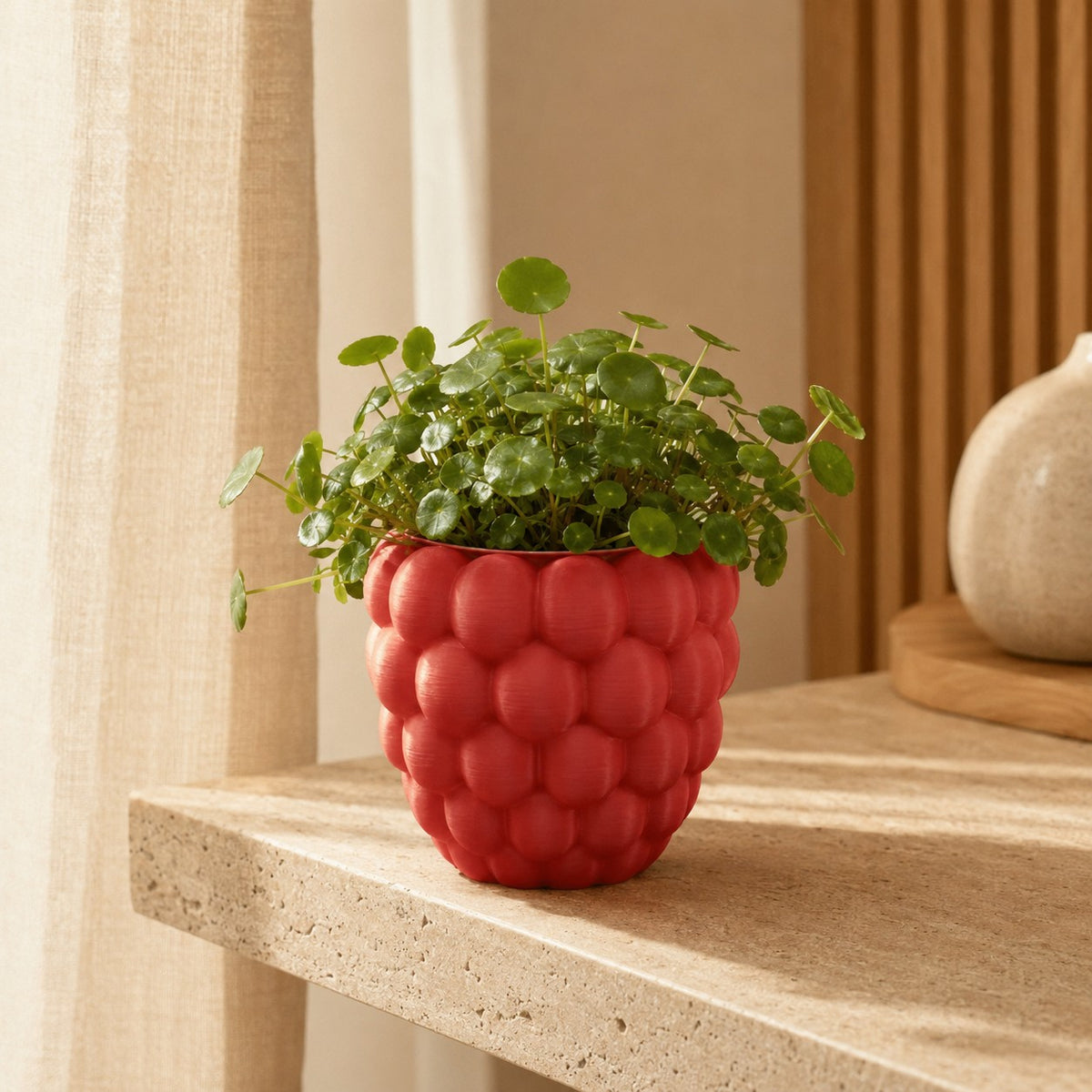 pots-pour-plantes-framboise