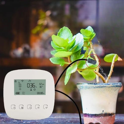 programmateur-arrosage-plante