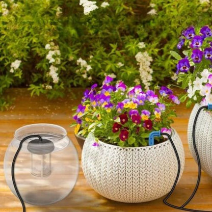 programmateur-arrosage-plantes