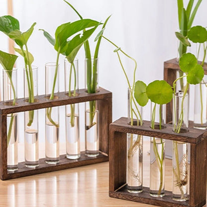 Roots Station™ | Station de bouturage rapide - Passion Horticulture