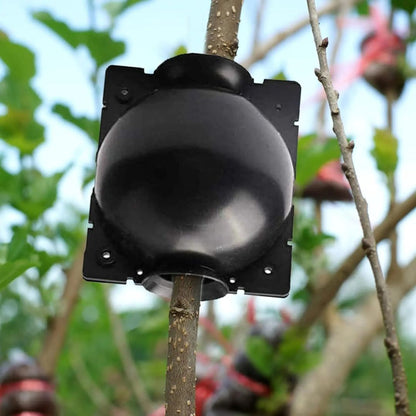 RootsBall™ | Boule de maquettage - Passion Horticulture