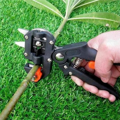 Secateur  |  GreftPruner