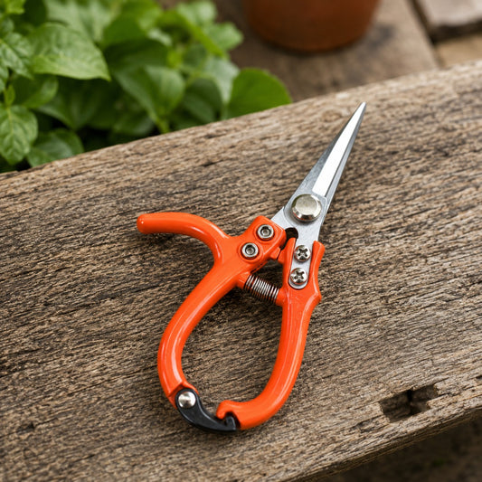 sécateur-professionnel-orange