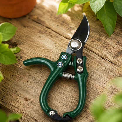 sécateur-professionnel-vert