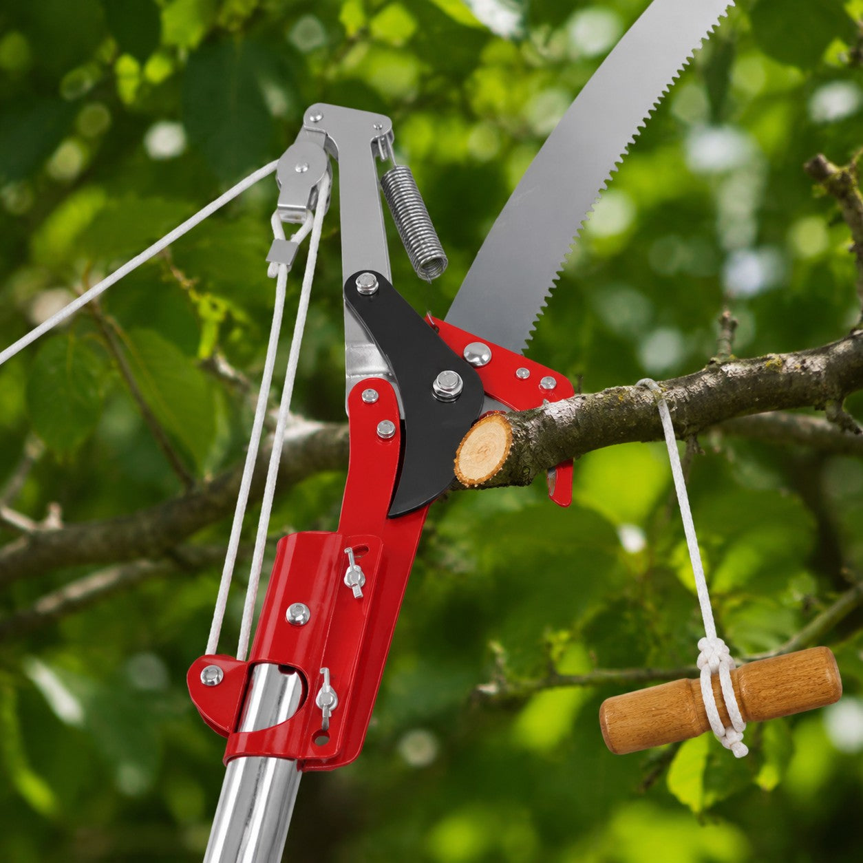 secateur-telescopique-branche