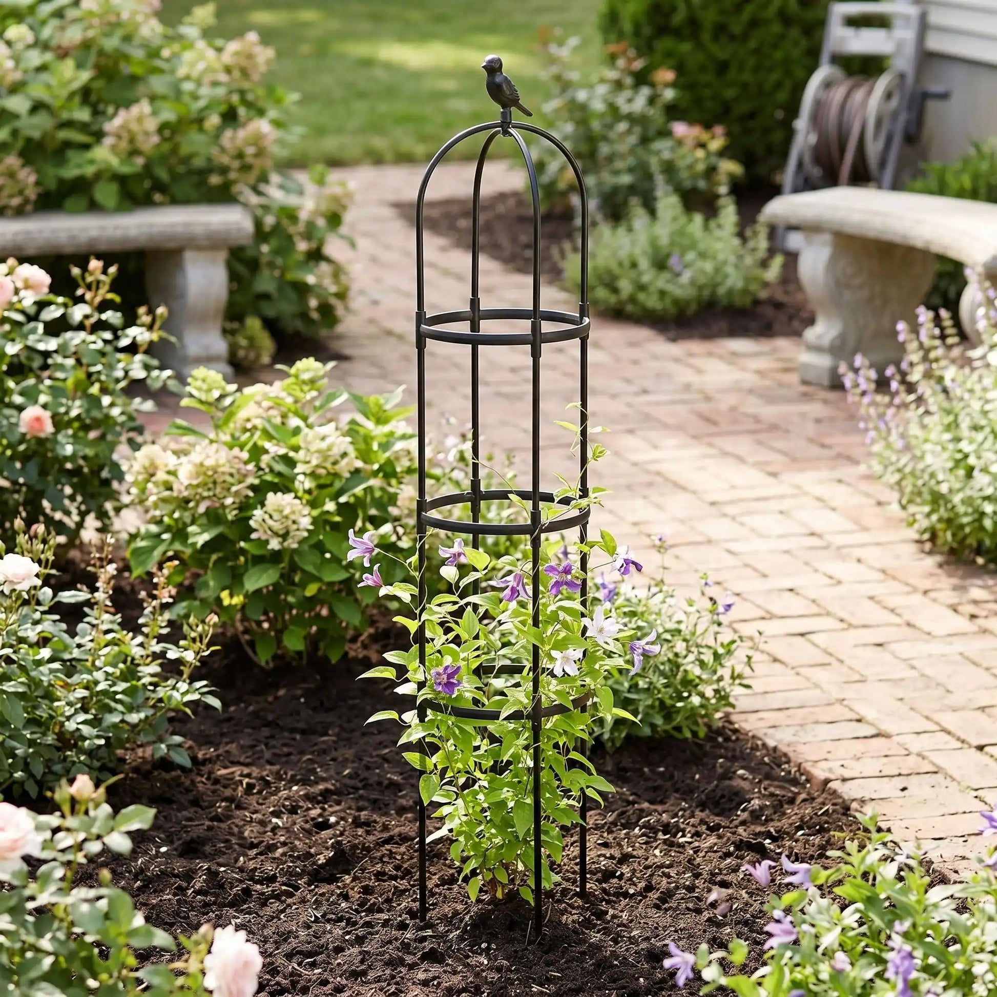 support-plante-grimpante-jardin