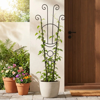 support-plante-grimpante-noir