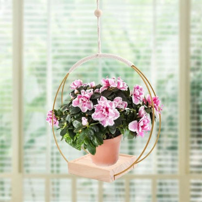 Suspension Plante | Floating Flora™