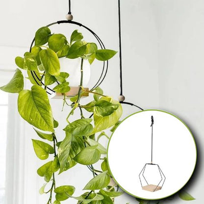 Suspension Plante | Floating Flora™