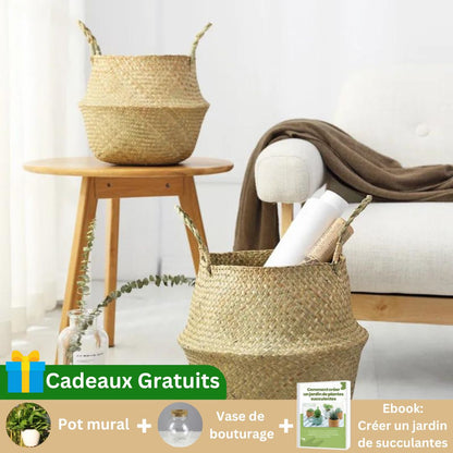 Tendance Osier™ | Cache - pot élégant - Passion Horticulture