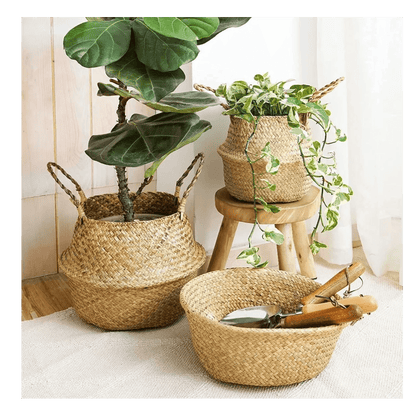Tendance Osier™ | Cache - pot élégant - Passion Horticulture